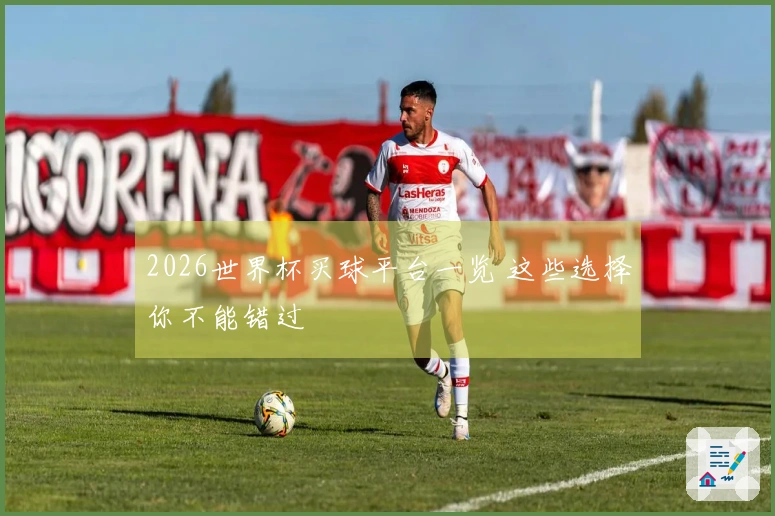 2026世界杯买球平台一览 这些选择你不能错过