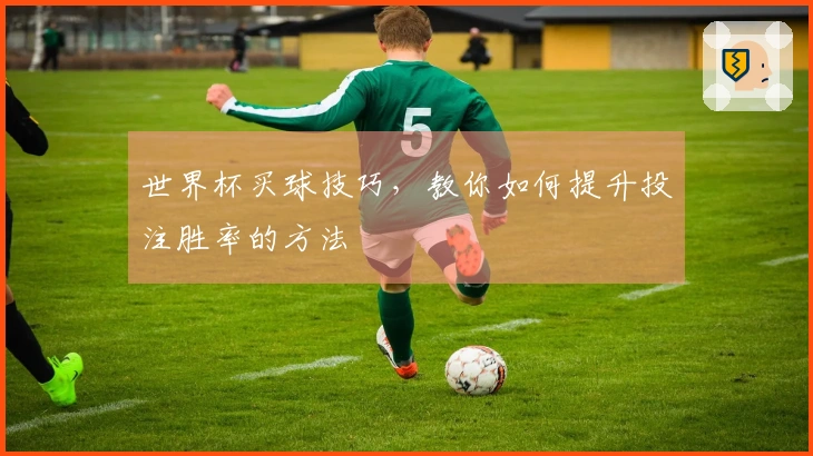 世界杯买球技巧，教你如何提升投注胜率的方法